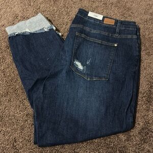 NWT Judy Blue 24W Skinny Jeans